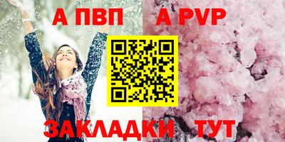 индика Можга