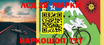 индика Можга