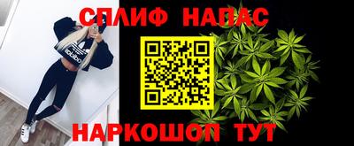 индика Можга