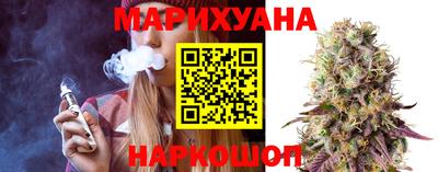 индика Можга