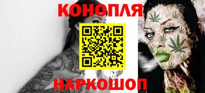 индика Можга